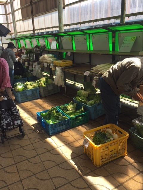 三浦海岸、夏近し