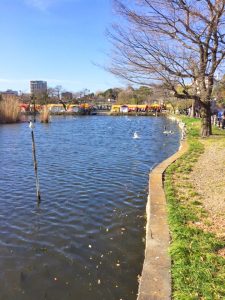 上野公園さくら3