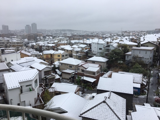 寒のもどり　一面の雪景色です