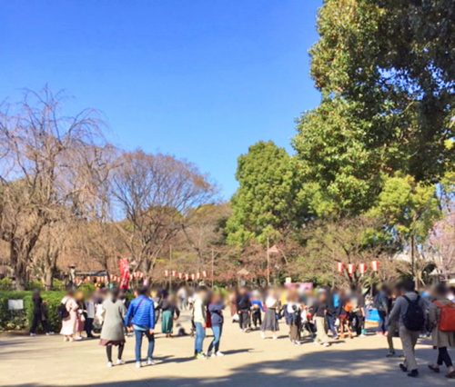 春の上野公園🌸