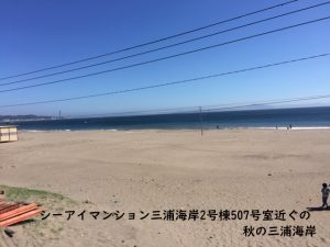 秋の三浦海岸3